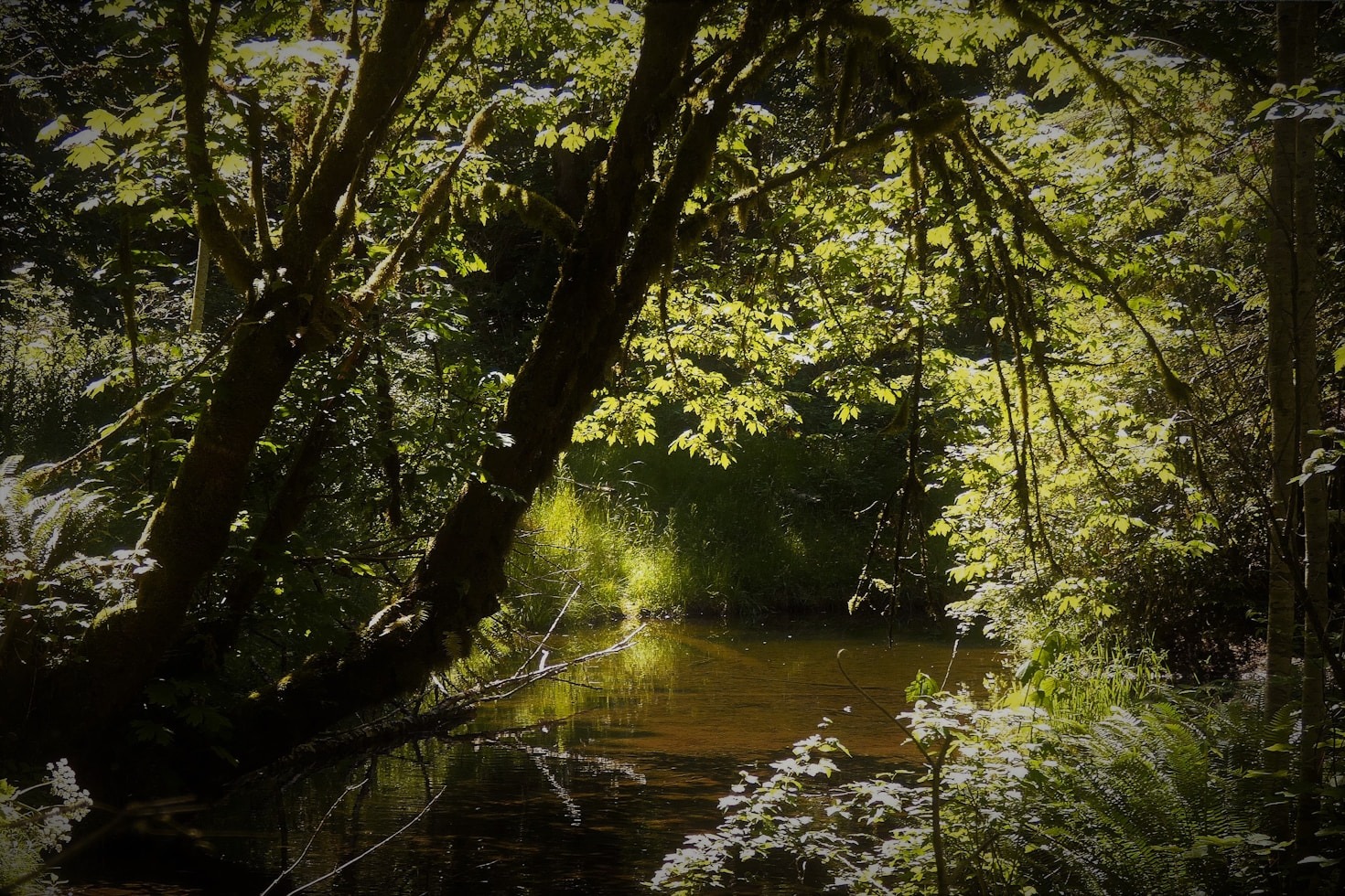 Hidden Gems: Parks You Must Visit